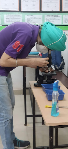 student using microscope in biology class